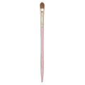 BRUSH NO 10